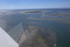 IMG_0152