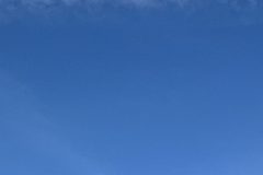 IMG_0176